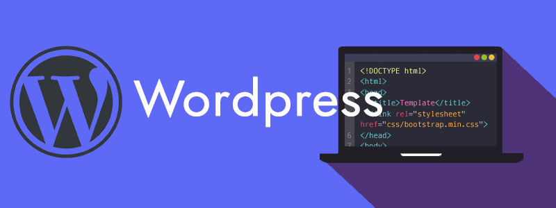 Wordpress Professnal